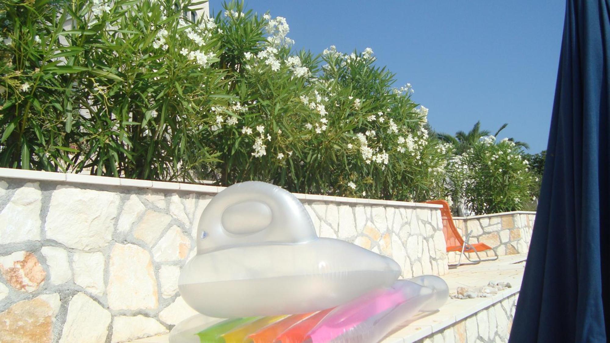 Apartments Niana With Heated Seawater Swimingpool Donji Okrug  Extérieur photo